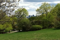 Corey Hill Outlook pet friendly dog parks in Salem Massachusetts