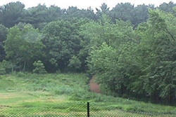 Fresh Pond Reservation Dog Park pet friendly dog parks in Salem Massachusetts
