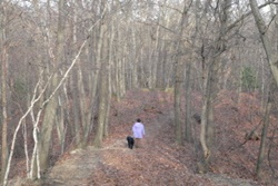McGrath park  pet friendly dog parks in Salem Massachusetts