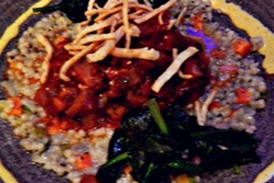 Opus pet friendly restaurant in Salem Massachusetts