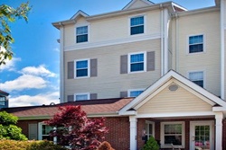 dogs allowed hotels in Salem, Massachusetts; pet friendly hotels in Salem Mass