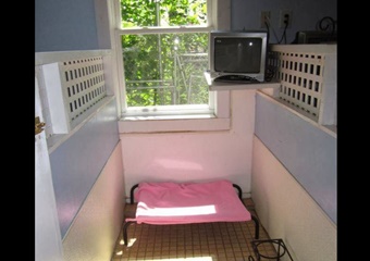 four seasons pet resort pet friendly boarding salem massachusetts