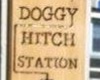 pet friendly restaurant in Salem Massachusetts