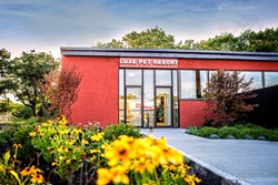Luxe Pet Resort pet friendly boarding and grooming near Salem, Massachusetts