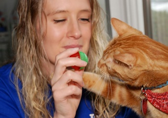 New England Veterinary Clinic pet friendly Salem, Massachusetts veterinarians