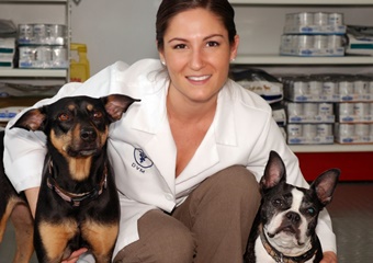 New England Veterinary Clinic pet friendly Salem, Massachusetts veterinarians