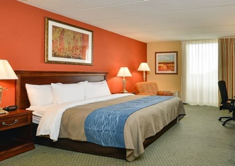 dogs allowed hotels in Salem, Massachusetts; pet friendly hotels in Salem Mass