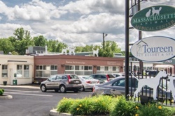 Toureeen pet friendly boarding and grooming near Salem, Massachusetts